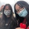 vyrabbit84